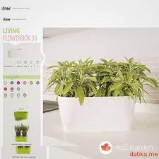 Сандъчета LIVING FLOWERBOX