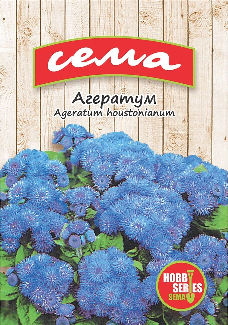 Едногодишни Агератум