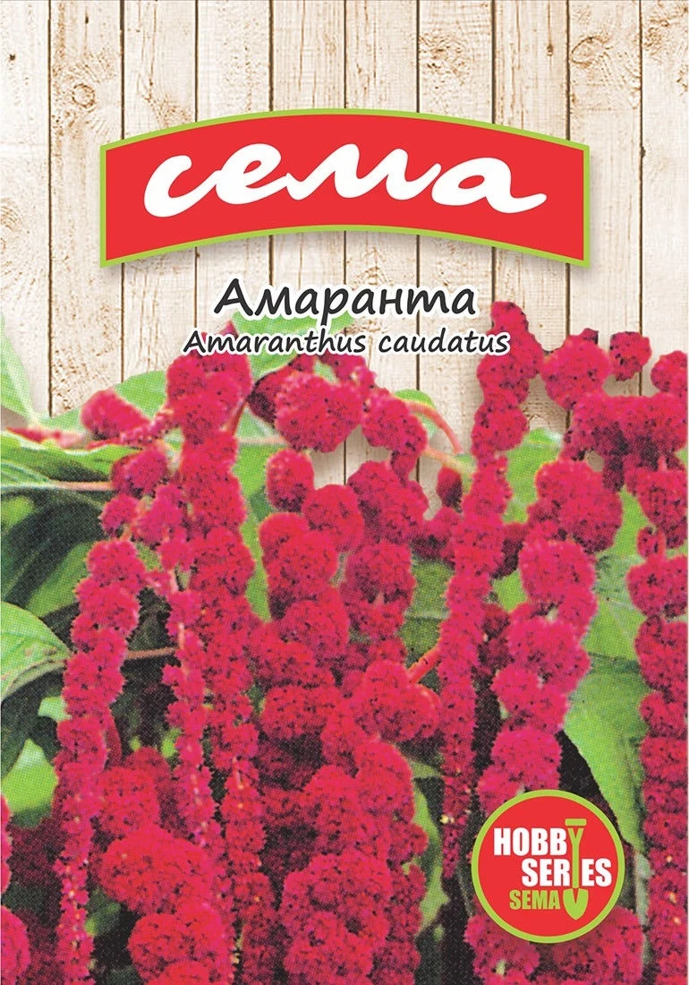 Едногодишни Амаранта