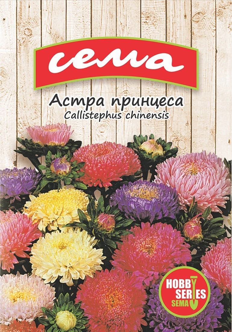 Едногодишни Астра Принцеса