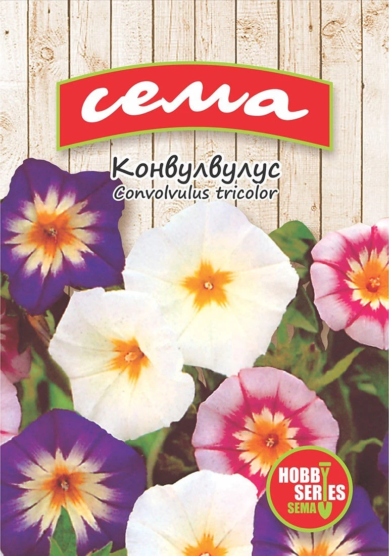 Едногодишни Конвулвулус