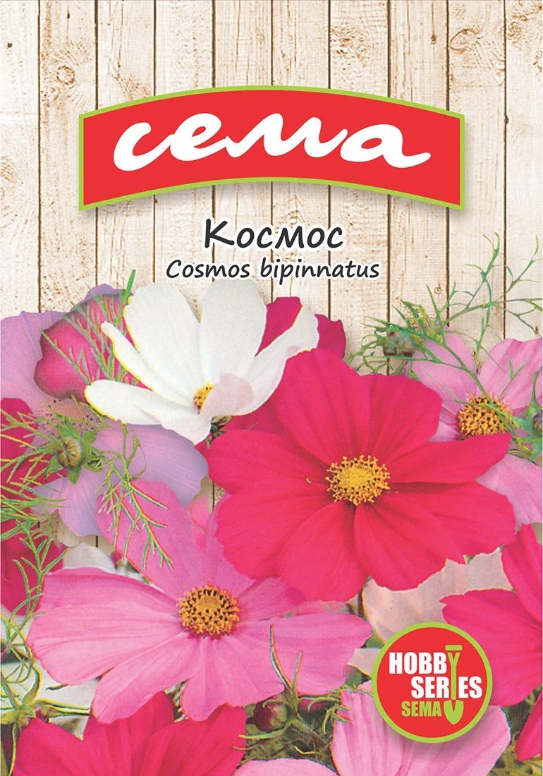 Едногодишни Космос