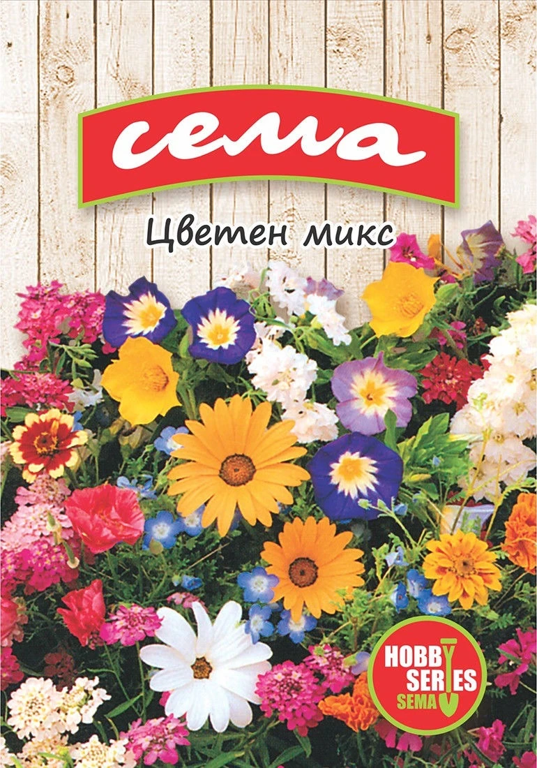 Едногодишни Цветен микс