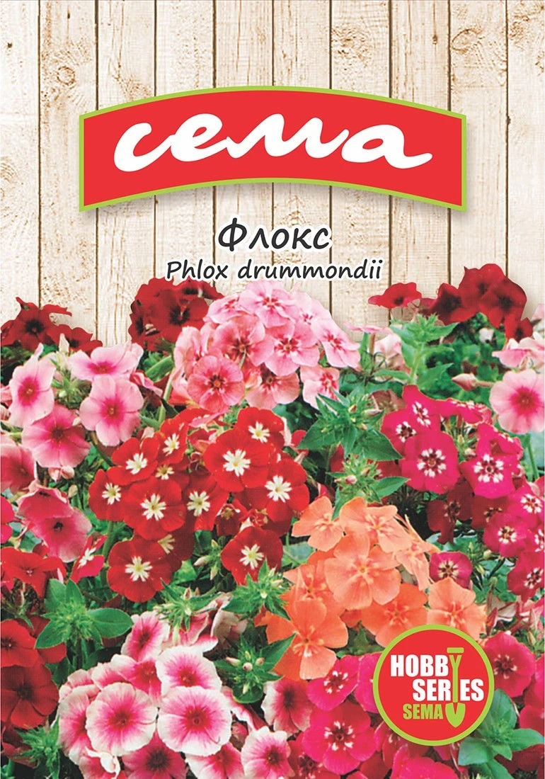 Едногодишни Флокс