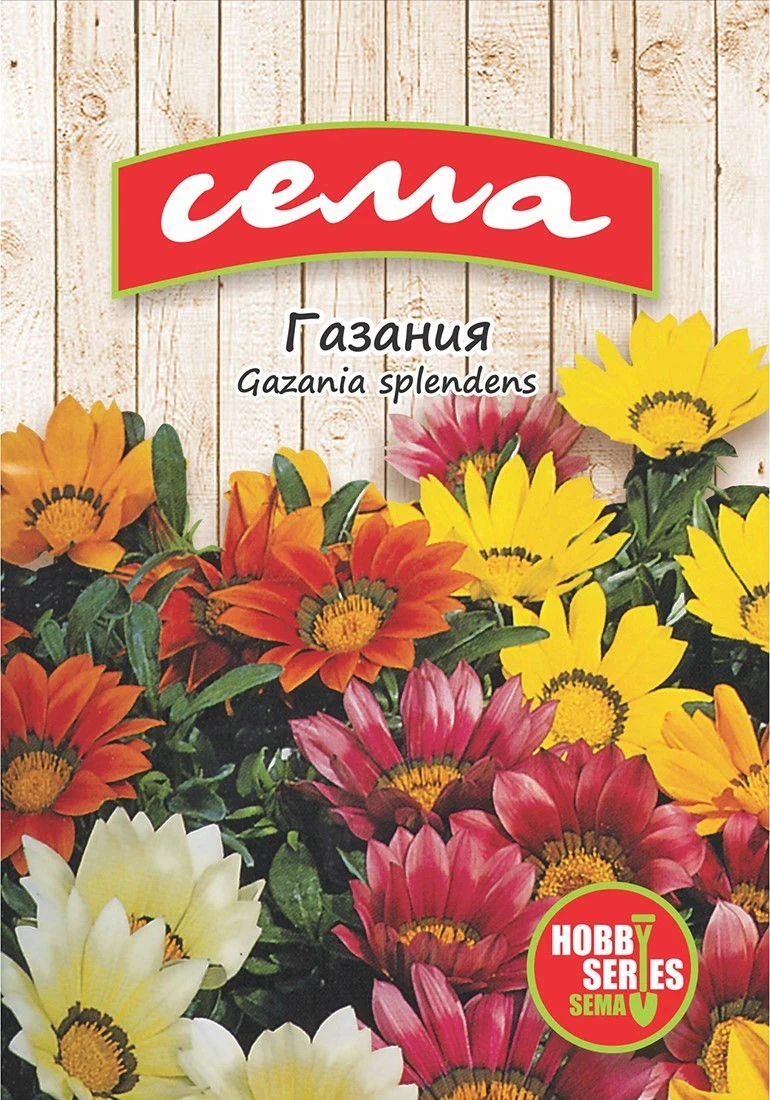 Едногодишни Газания