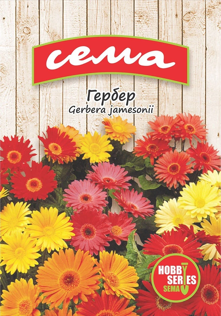 Едногодишни Гербер