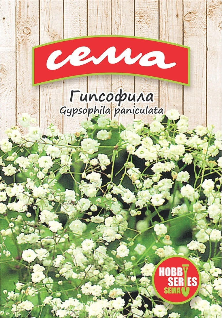 Многогодишни Гипсофила