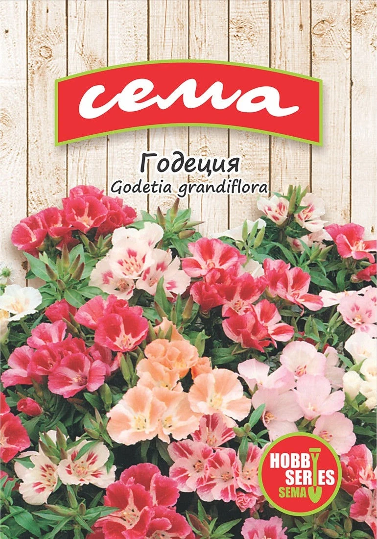 Едногодишни Годеция