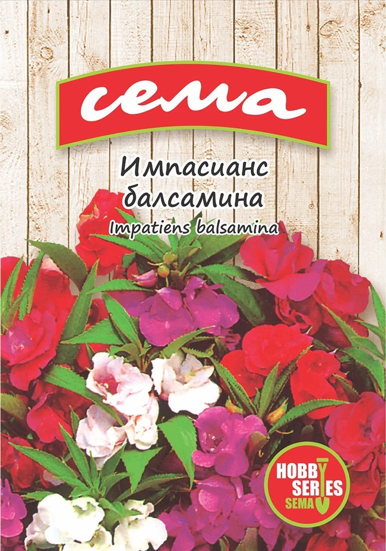 Едногодишни Импасианс балсамина