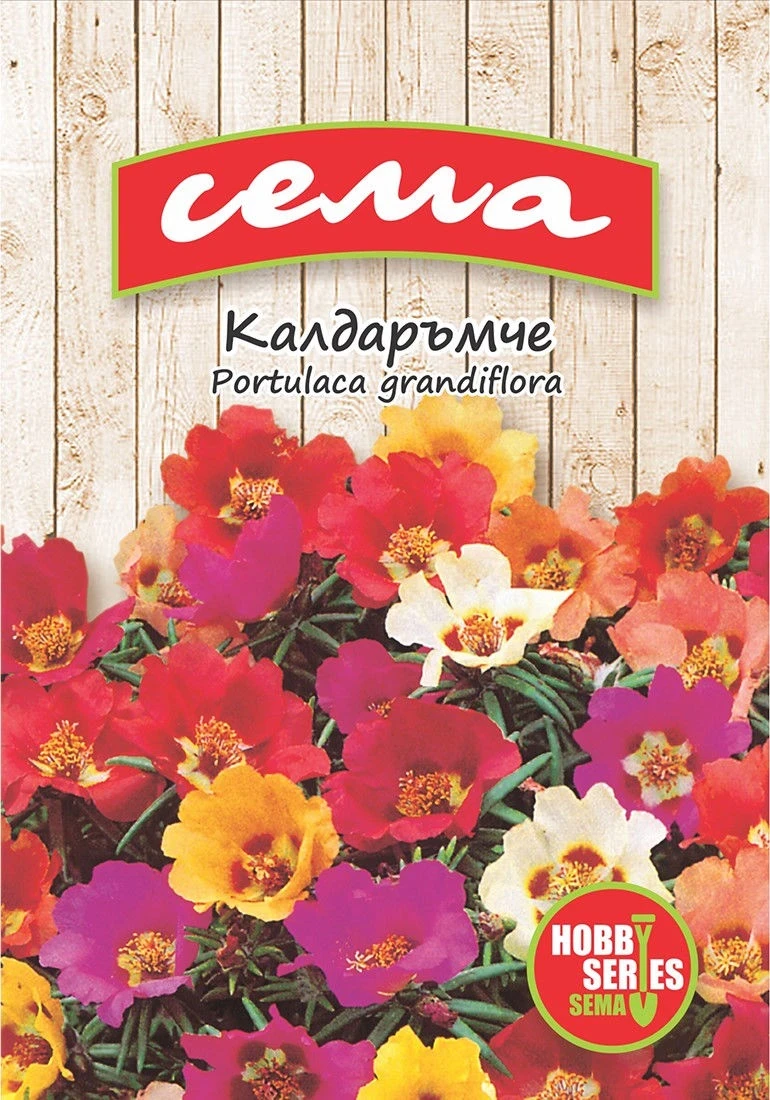 Едногодишни Калдаръмче
