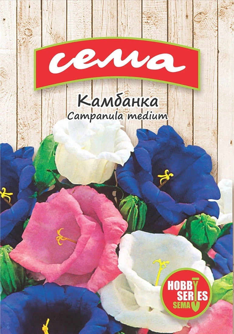 Двугодишни Камбанка
