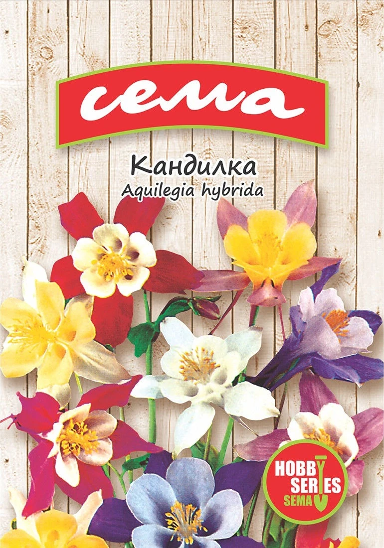Многогодишни Кандилка