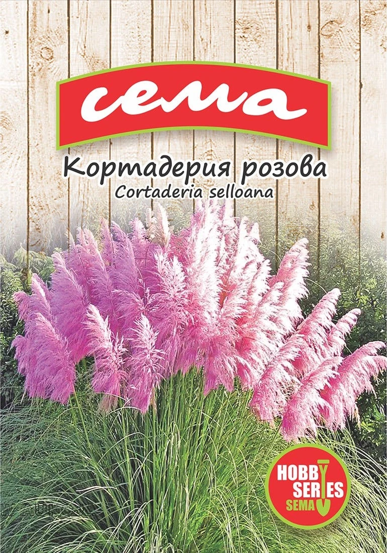 Многогодишни Кортадерия Розова