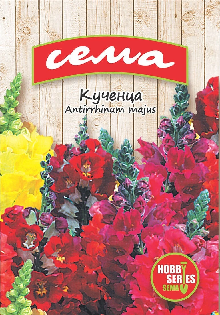 Едногодишни Кученца