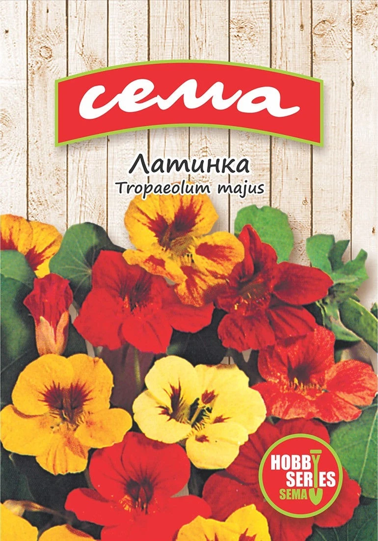 Едногодишни Латинка