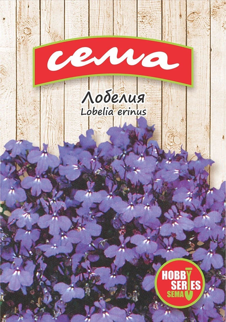 Едногодишни Лобелия