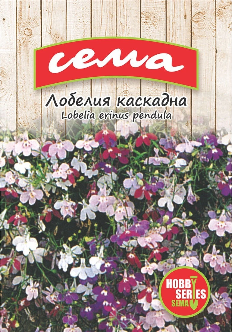 Едногодишни Лобелия Каскадна