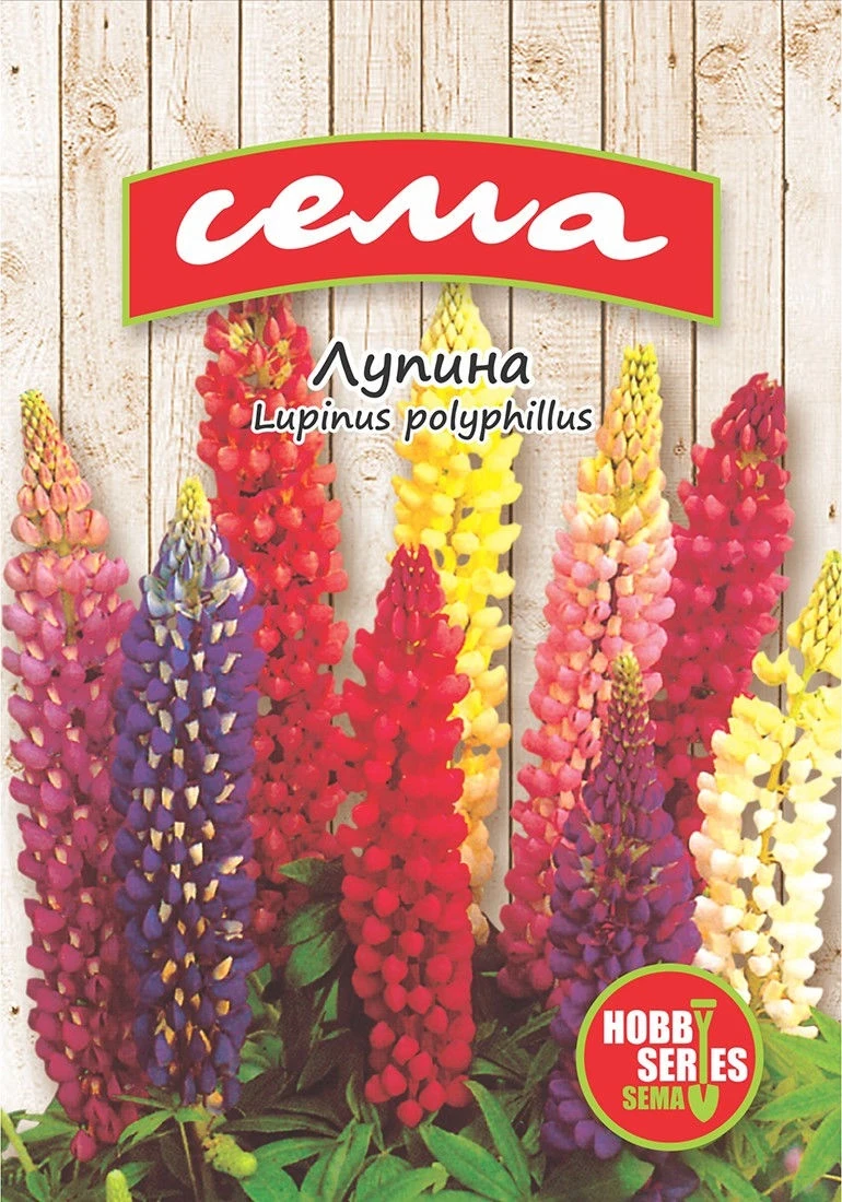 Многогодишни Лупина