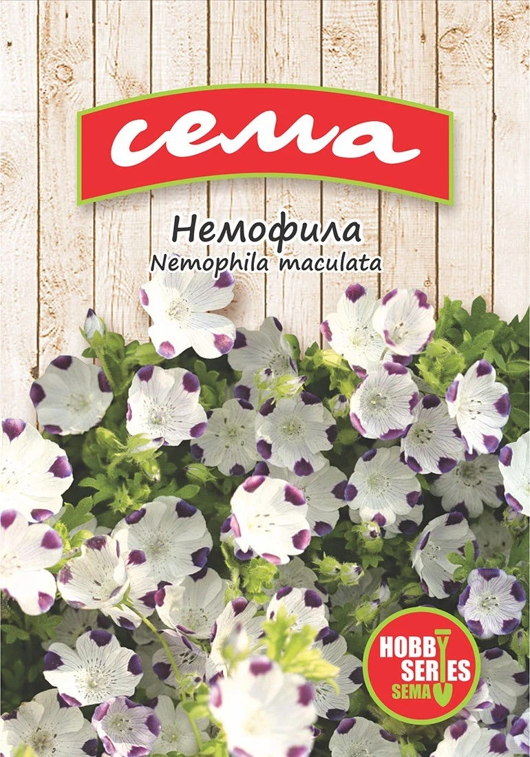 Едногодишни Немофила