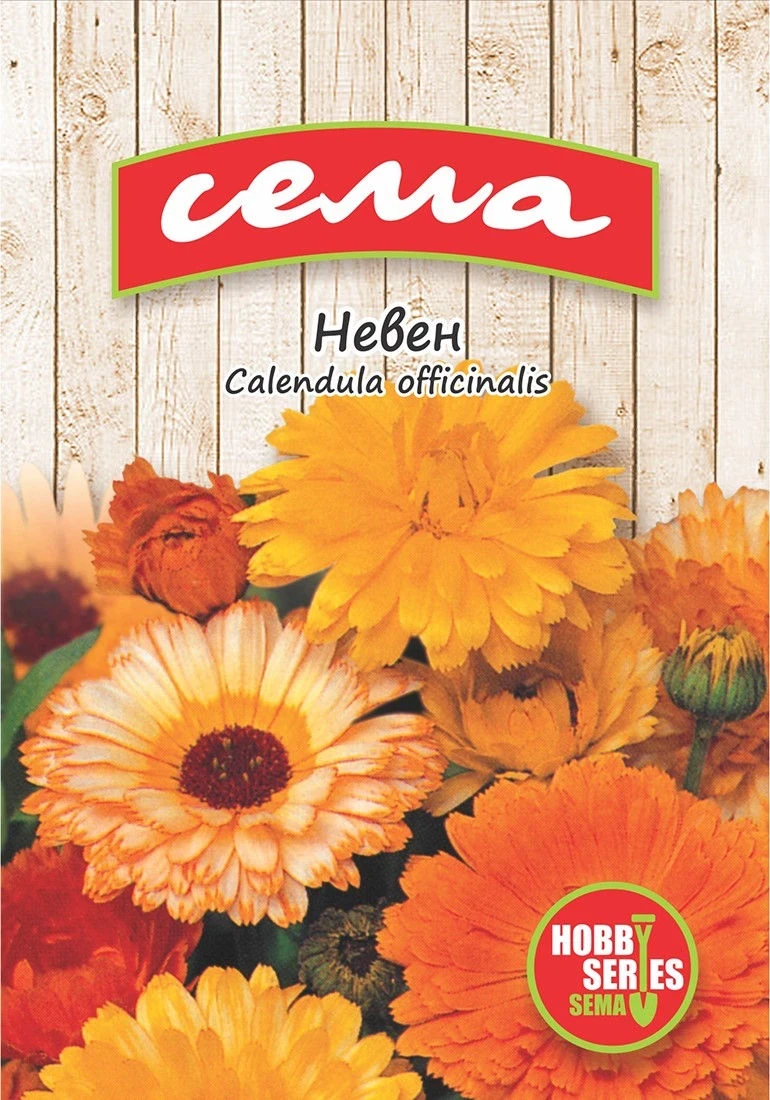 Едногодишни Невен