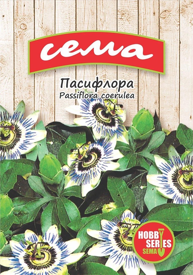 Многогодишни Пасифлора