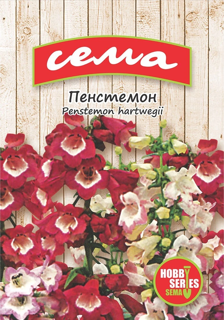 Едногодишни Пенстемон