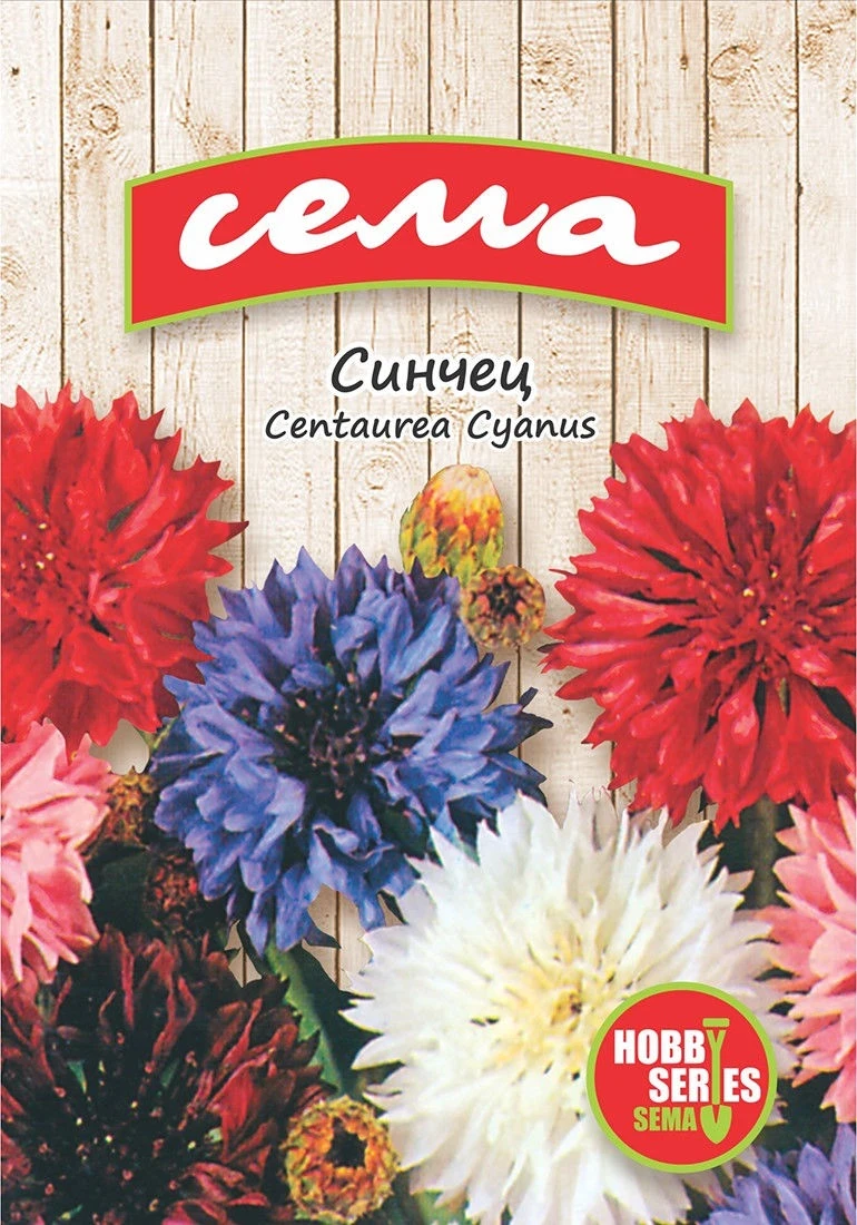 Едногодишни Синчец