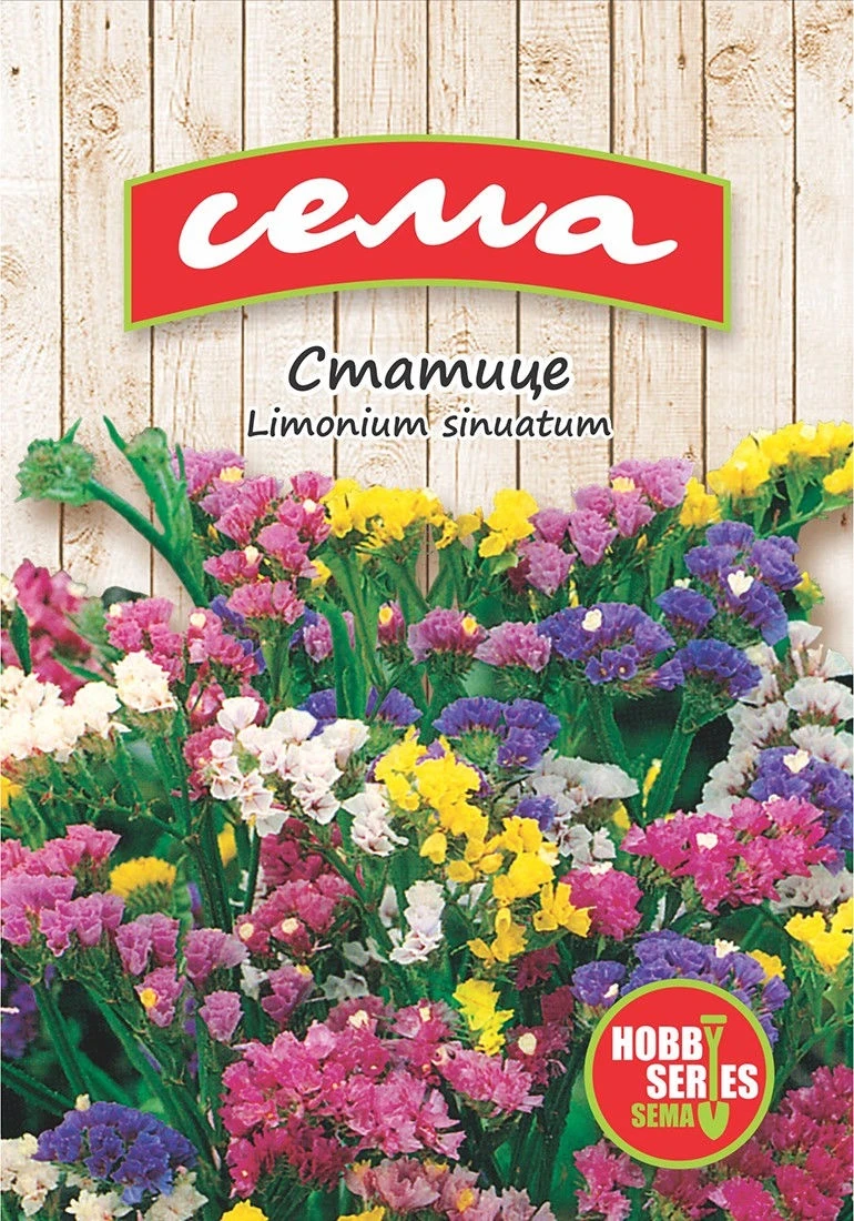 Едногодишни Статице