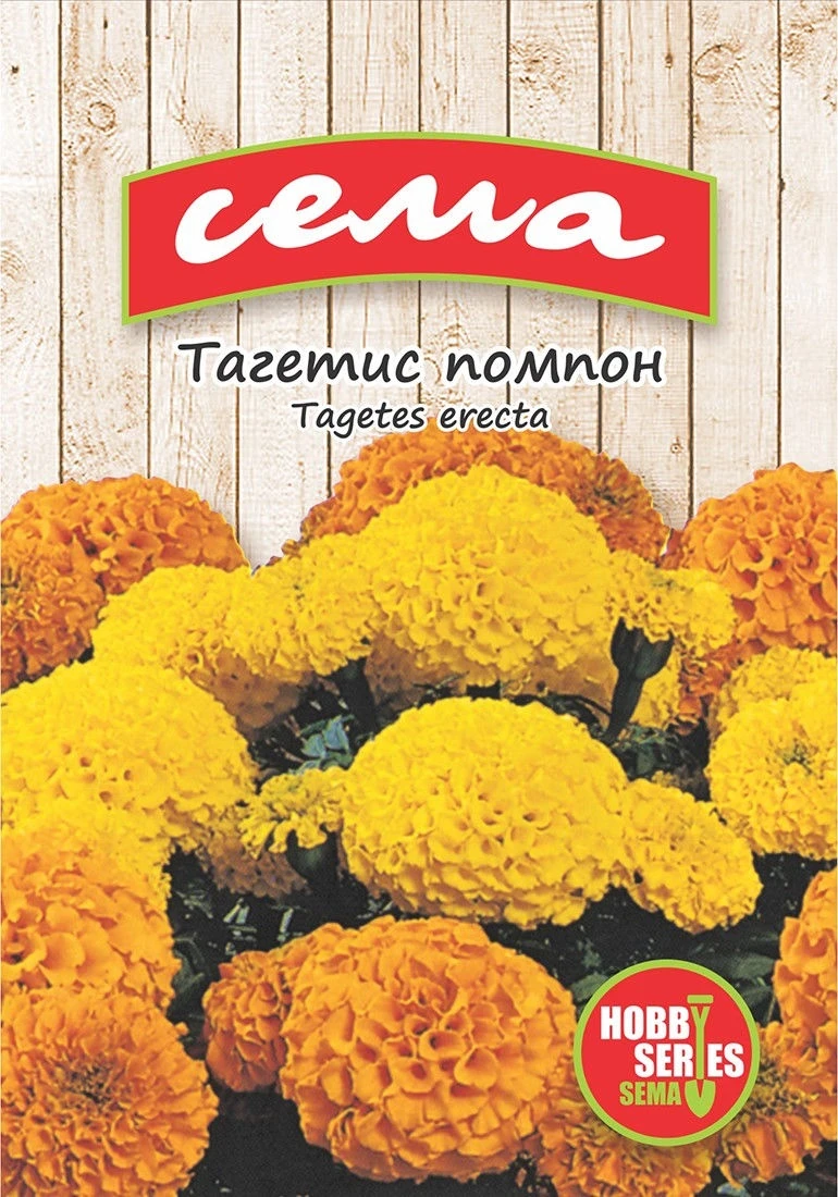 Едногодишни Тагетис Помпон