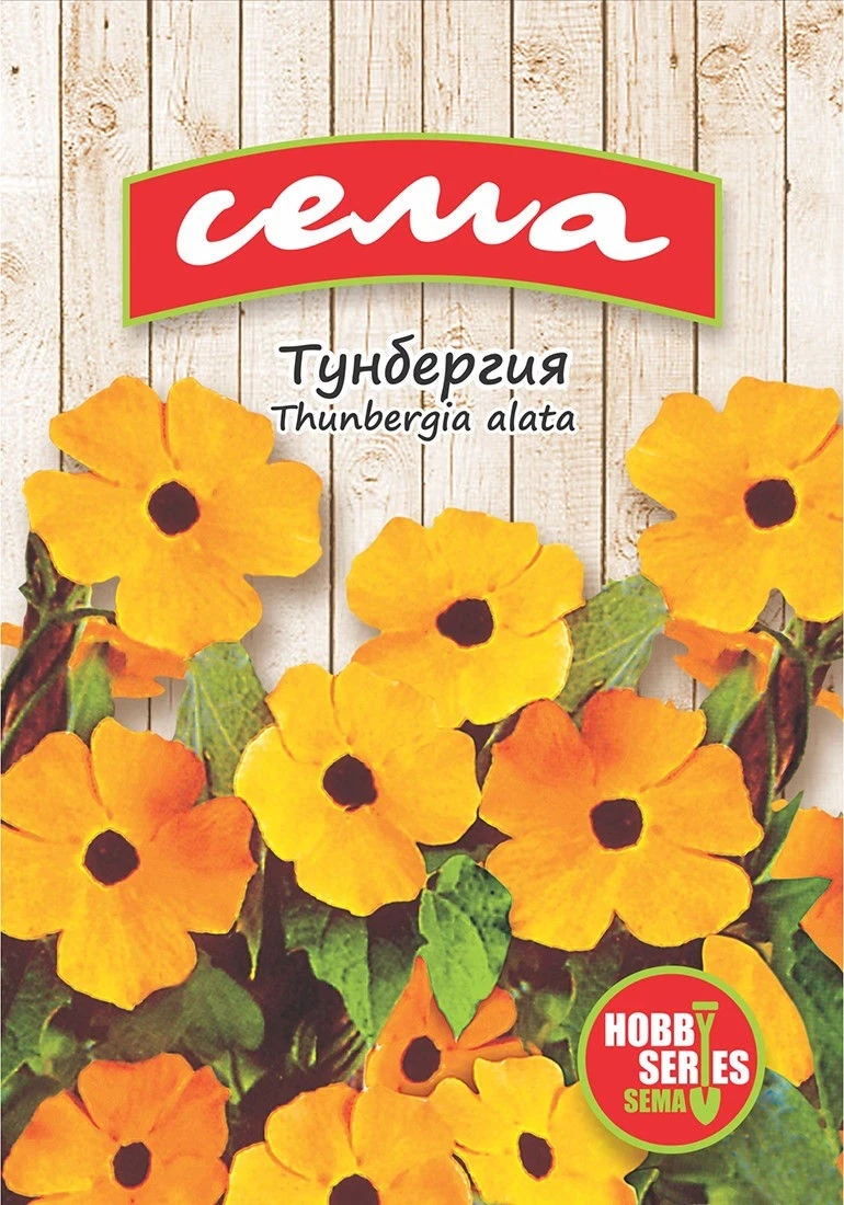 Едногодишни Тунбергия
