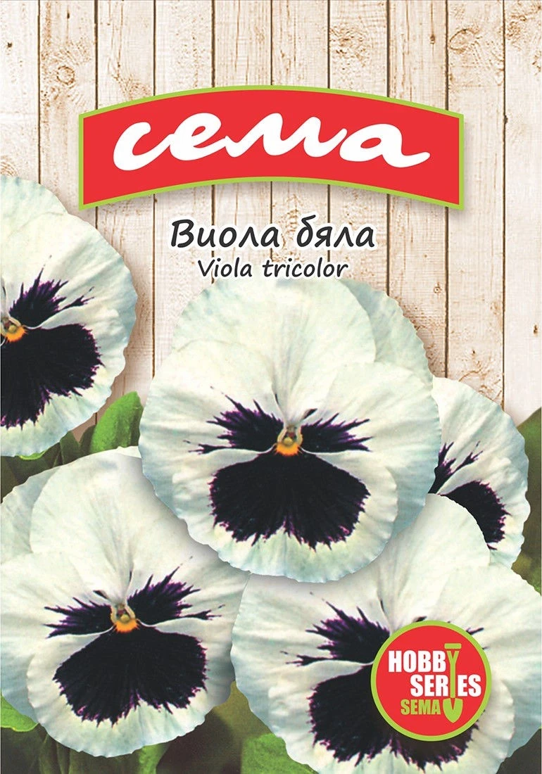 Едногодишни Виола Бяла с око