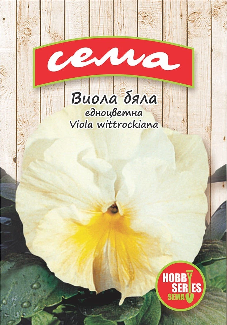 Едногодишни Виола Бяла (едноцветна)