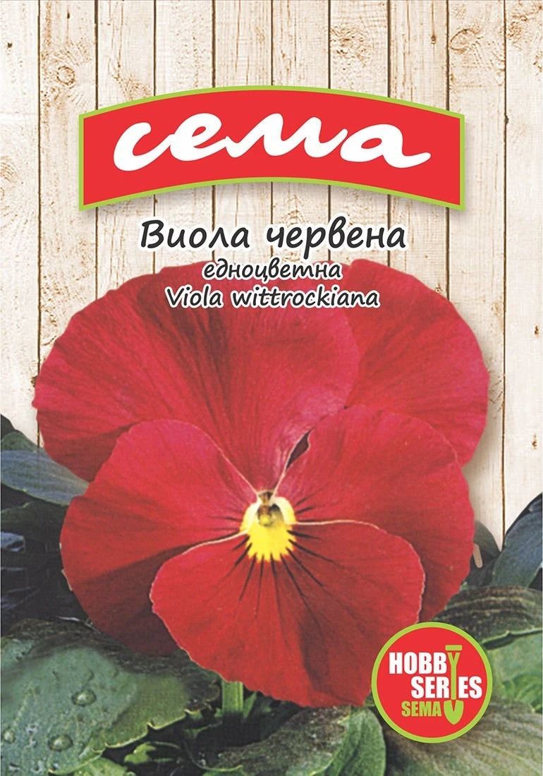 Едногодишни Виола Червена (едноцветна)