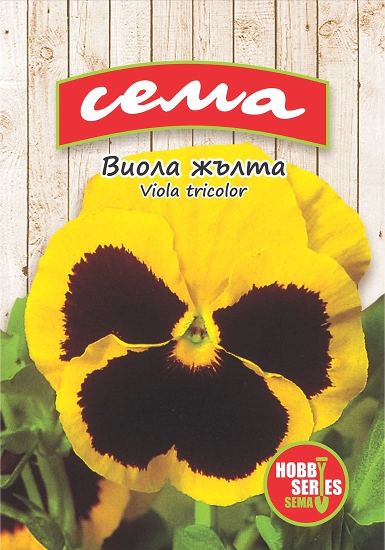 Едногодишни Виола Жълта с око