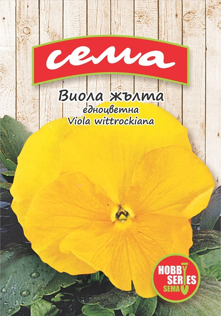 Едногодишни Виола Жълта (едноцветна)
