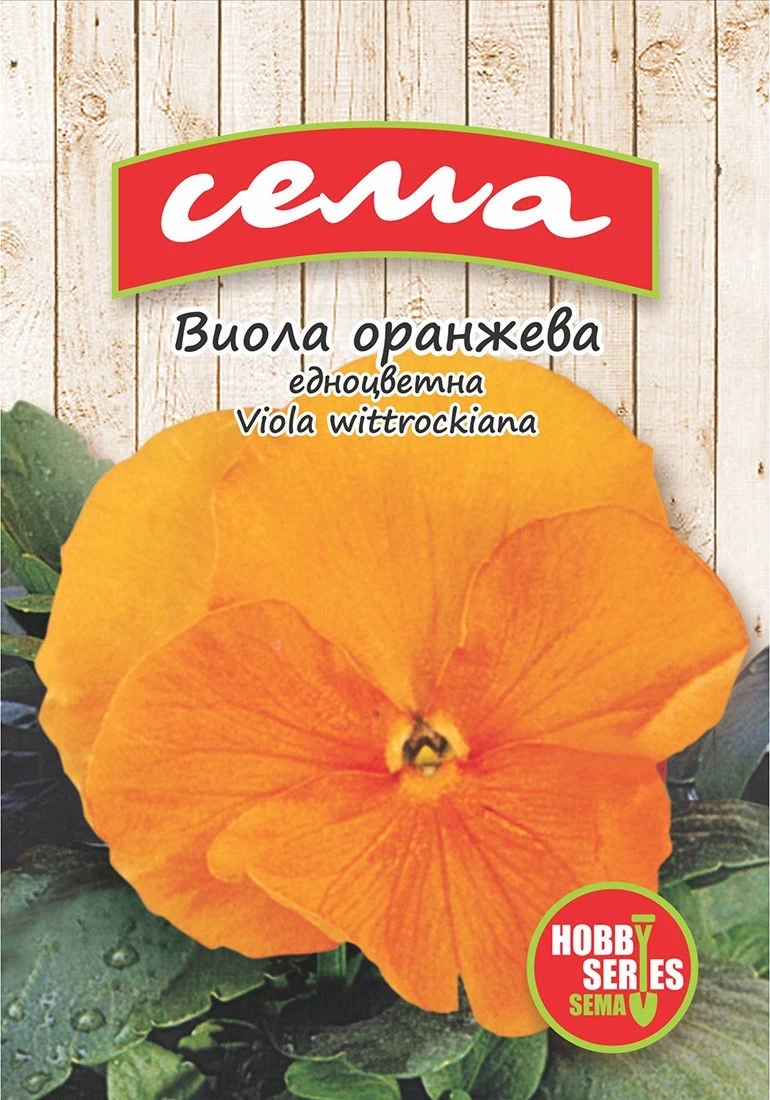 Едногодишни Виола Оранжева (едноцветна)