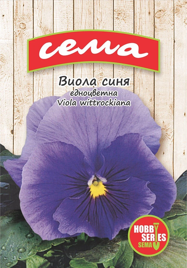 Едногодишни Виола Синя (едноцветна)