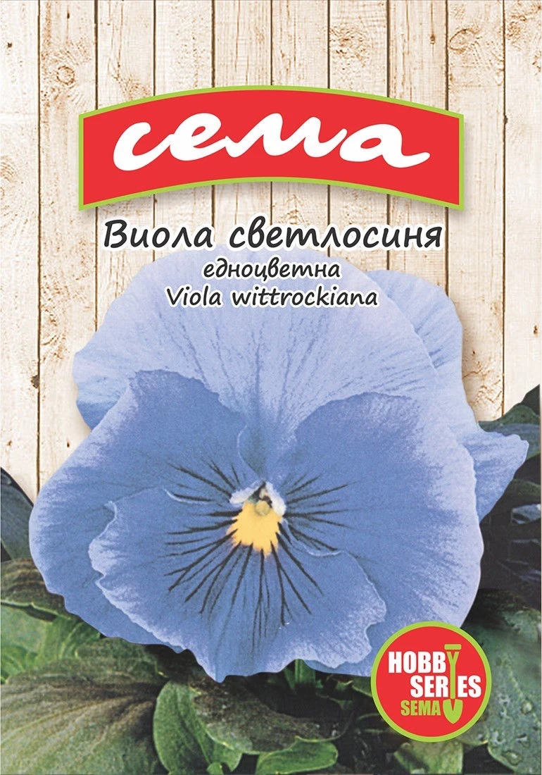 Едногодишни Виола Светлосиня (едноцветна)
