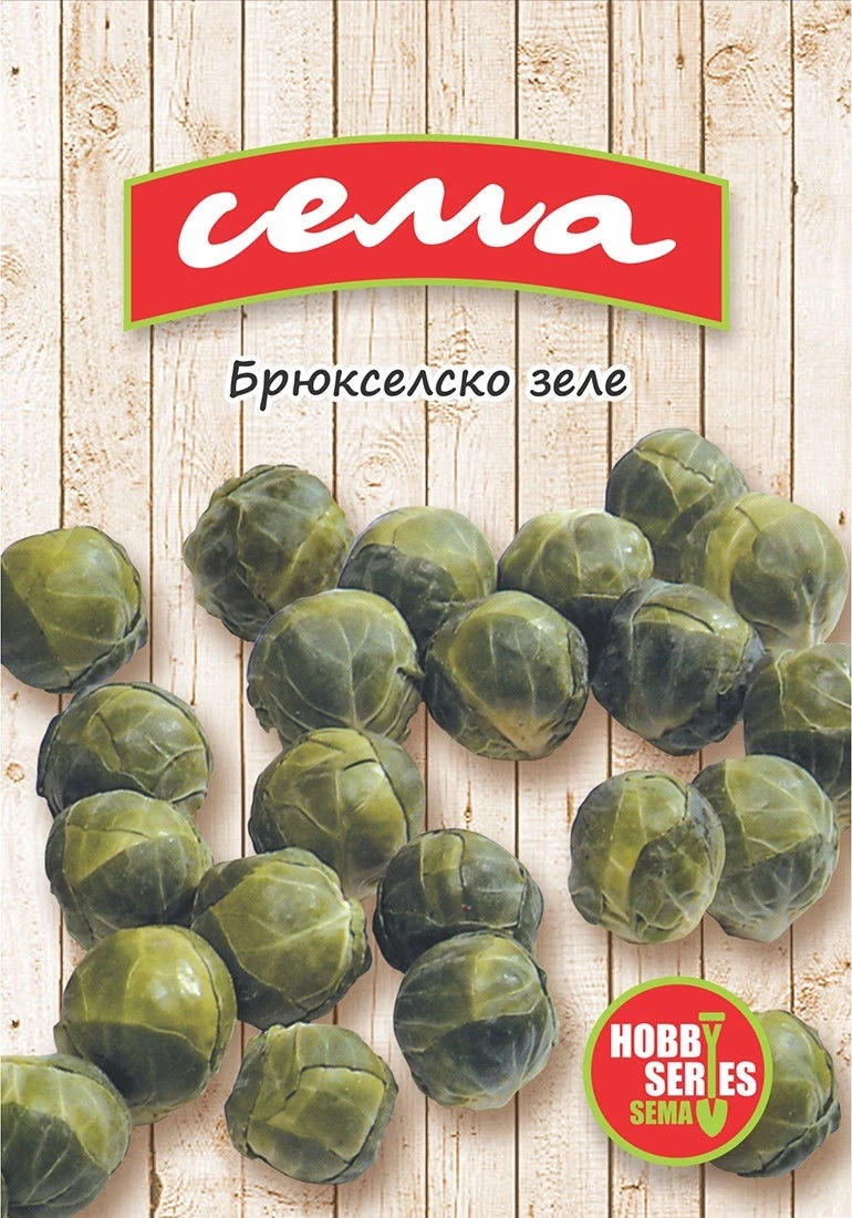 Зелеви Култури Брюкселско зеле