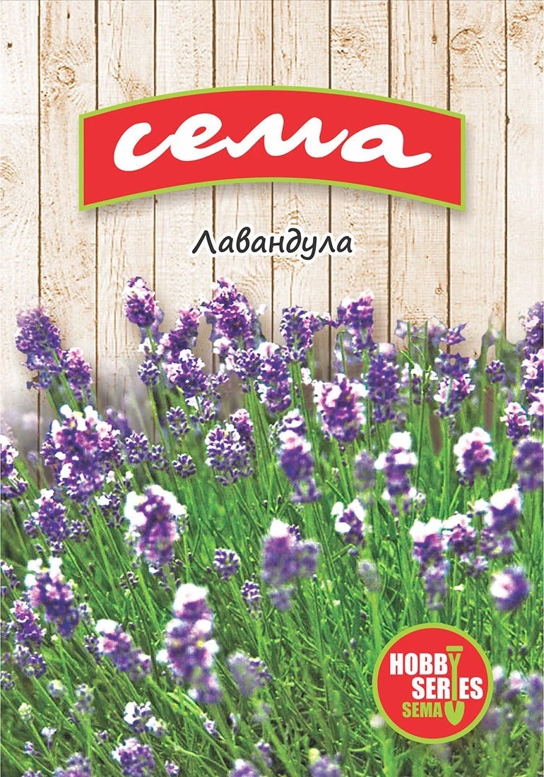 Подправки Лавандула