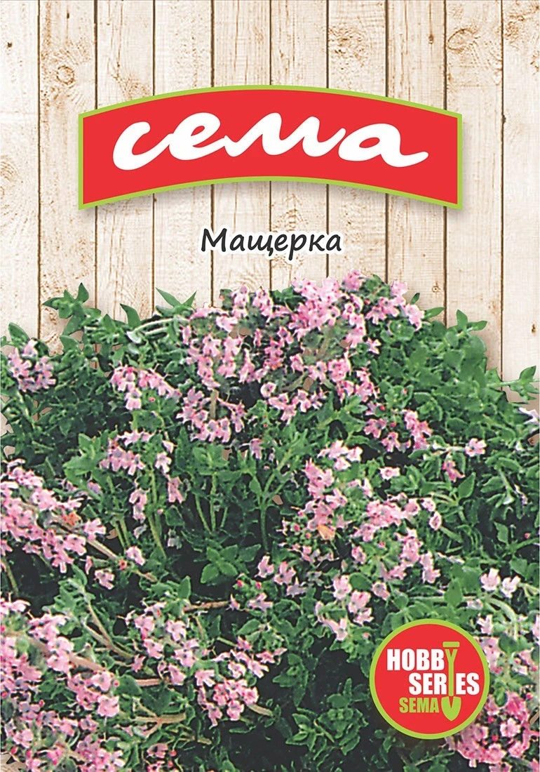 Подправки Мащерка