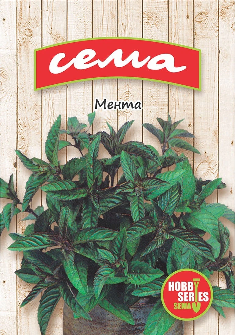 Подправки Мента