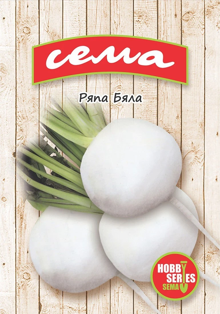 Ряпа Ряпа бяла