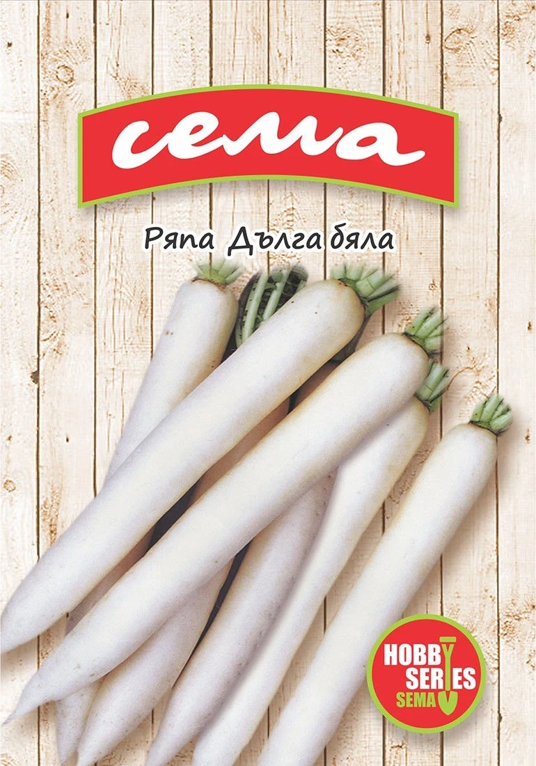 Ряпа Ряпа дълга
