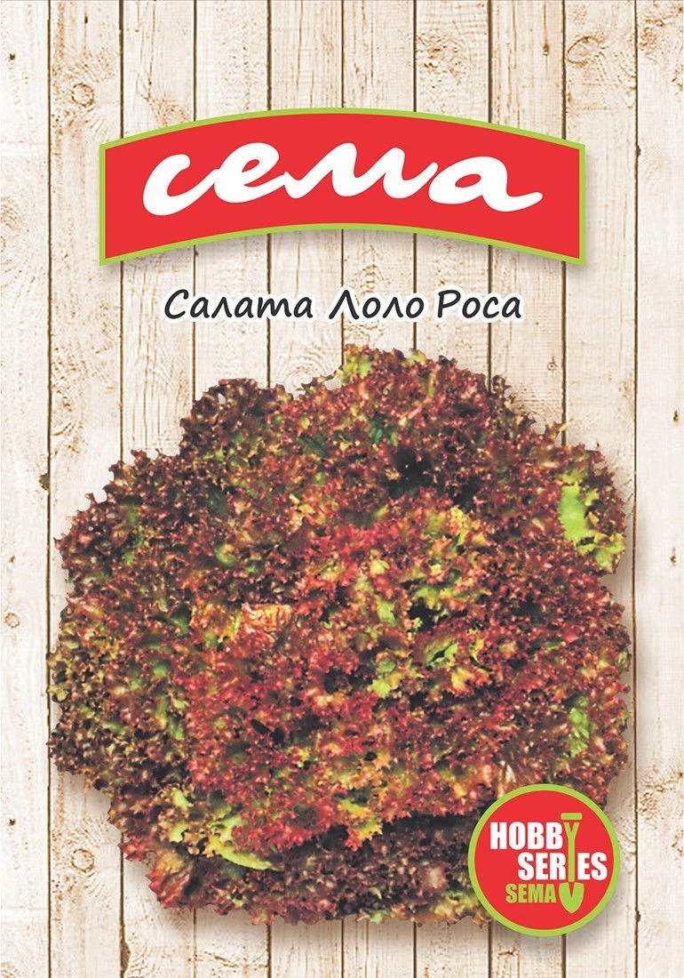 Салати Салата Лоло Роса