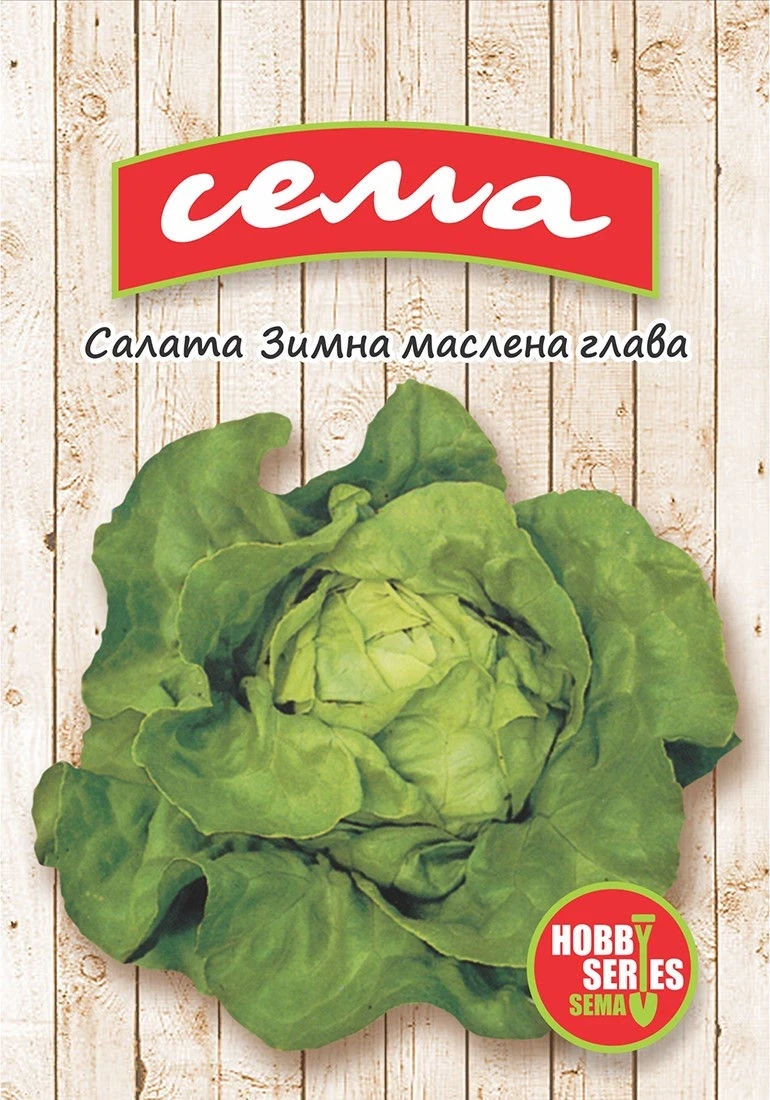 Салати Салата зимна маслена глава
