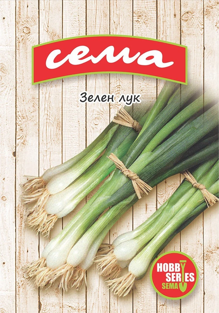 Лук Лук зелен