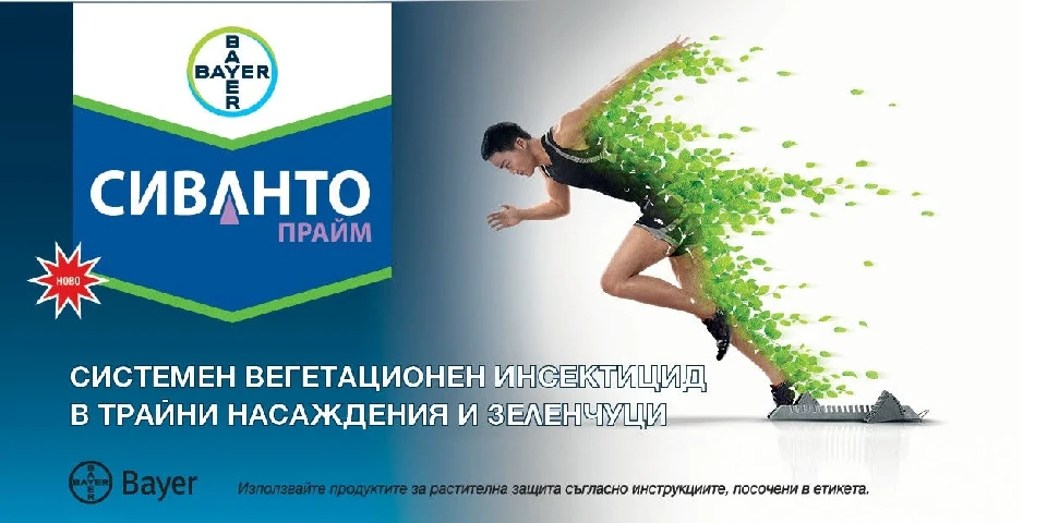 СИВАНТО ПРАЙМ