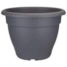 Саксия Campana 18 см.