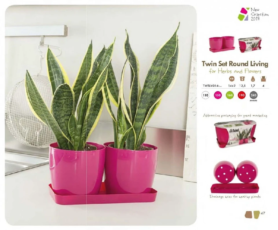 Сет саксии + сандъче TWIN SET 14 X 2